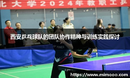 西安乒乓球队的团队协作精神与训练实践探讨