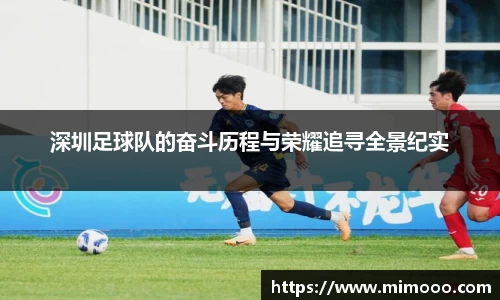深圳足球队的奋斗历程与荣耀追寻全景纪实