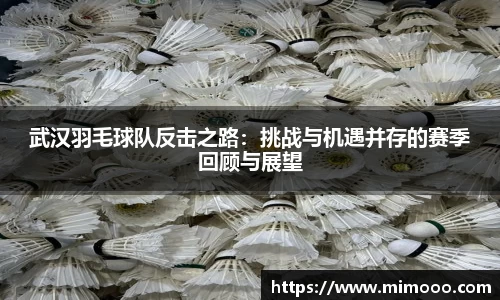 武汉羽毛球队反击之路：挑战与机遇并存的赛季回顾与展望